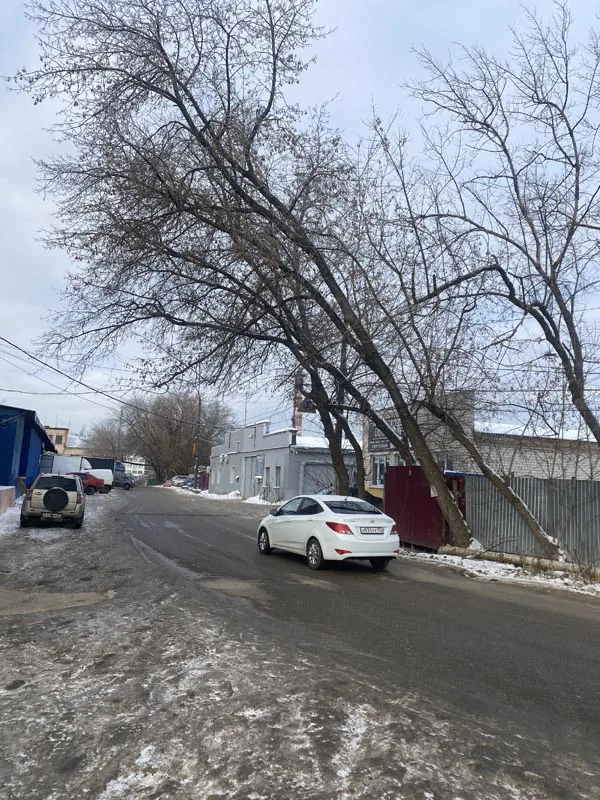 Кронирование деревьев, ул.Щербакова, Нижний Новгород