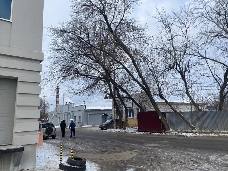 Кронирование деревьев, ул.Щербакова, Нижний Новгород