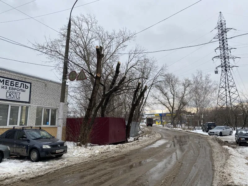 Кронирование деревьев, ул.Щербакова, Нижний Новгород
