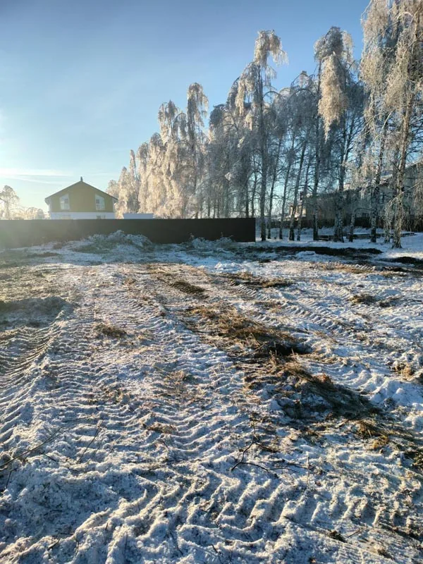 Расчистка участка, спил деревьев, удаление пней, Богородск