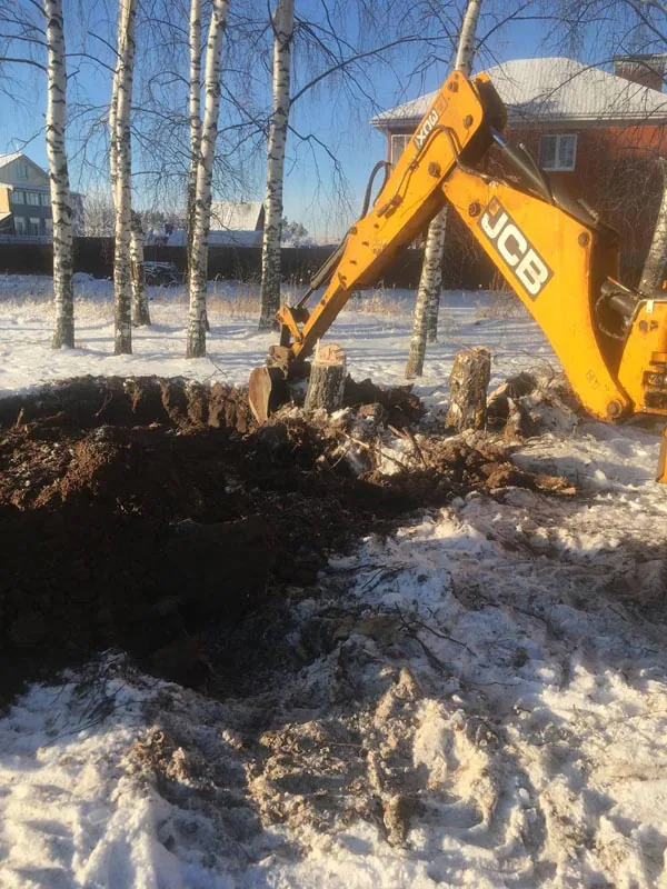 Расчистка участка, спил деревьев, удаление пней, Богородск