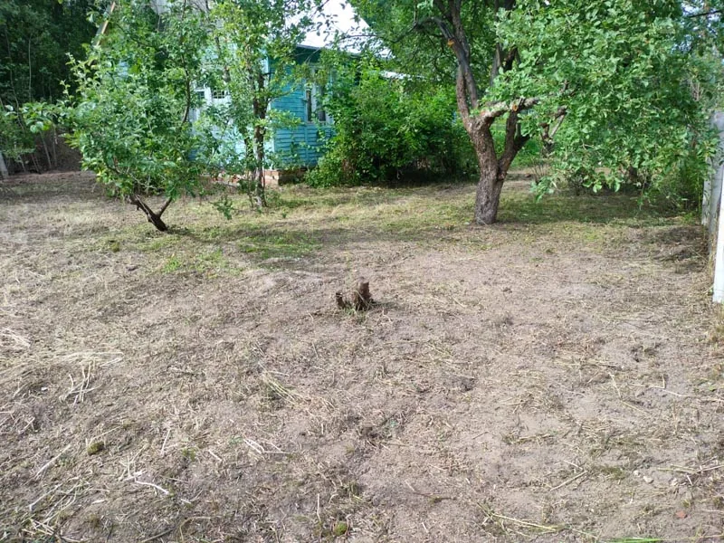 Ручная расчистка участка, Шпалозавод