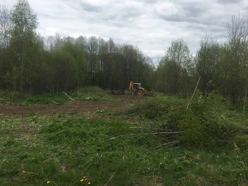 Спил деревьев, расчистка и выравнивание участка, с.Пурех, Чкаловск, весна